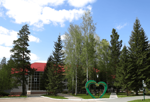 Березовая роща