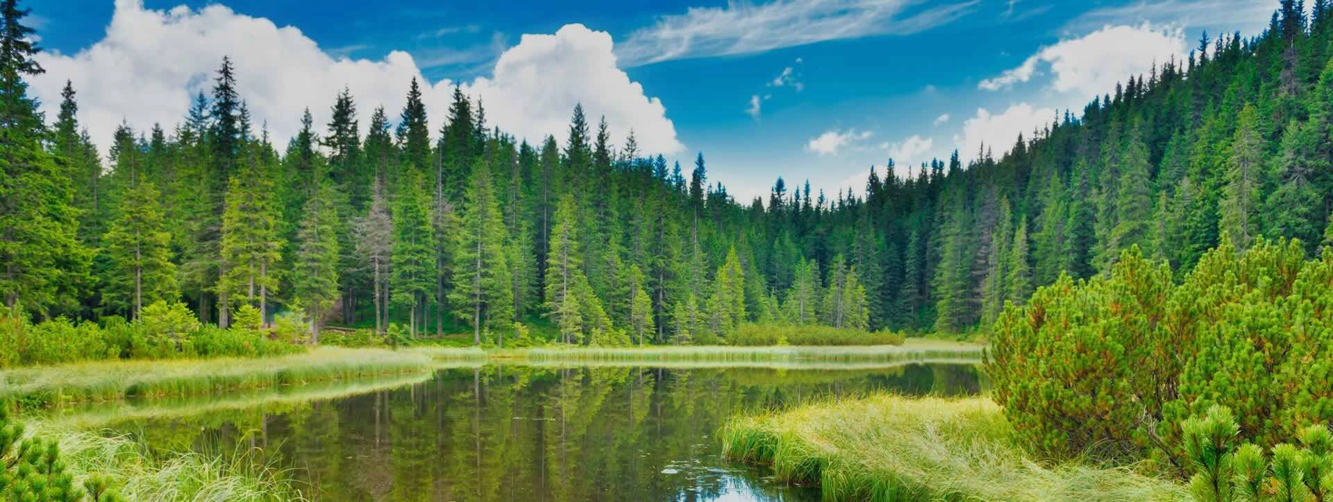 Данный сайт находится в разработке. В настоящий момент осуществить бронирование отдыха невозможно. Мы работаем над запуском всех сервисов и скоро предоставим полный доступ к возможностям сайта. Благодарим за понимание!