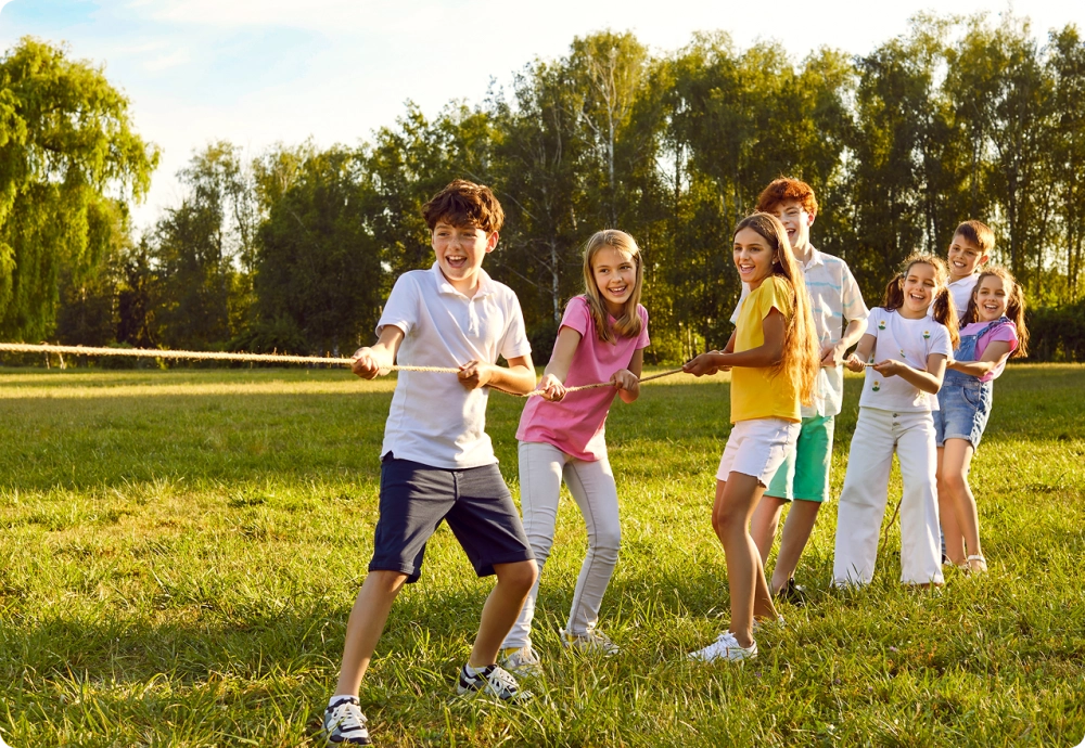 «Зеленый бор»